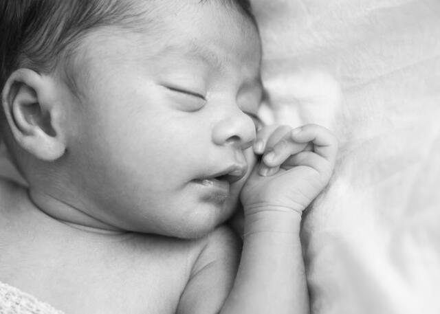 Newborn photograph 10